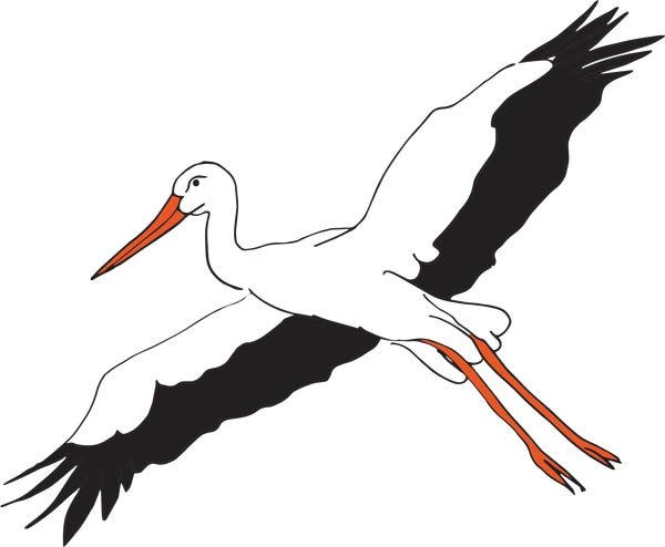 Ooievaar vliegend detail logo